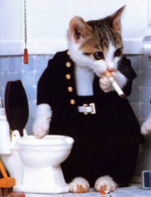 trop bien fait... trop bo le chat!